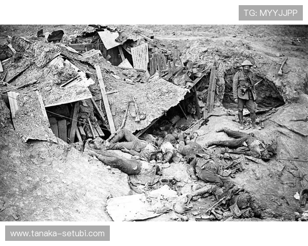 血流成河：从历史战役到现代冲突中血腥场面的深度剖析与反思